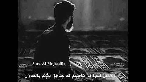 آيات من سورة المجادلة /أبو بكر الشاطري ❤️