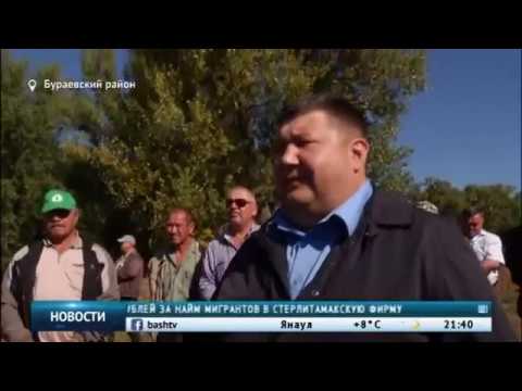 Карта вострецово бураевский район