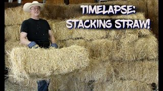 Timelaspe: Stacking Straw!