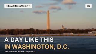 A Day Like This in Washington, D.C. | 10 Minutes of Relaxing Ambient City Film