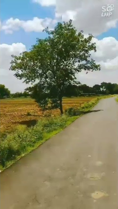 अपना गांव  ❤️❤️❤️ Status video