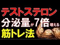 【筋トレ科学】テストステロンの分泌量を7倍に上げる筋トレ科学 ~男性ホルモンが激烈に上がる~