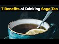 Sage Tea: 7 Benefits of Drinking Sage Tea