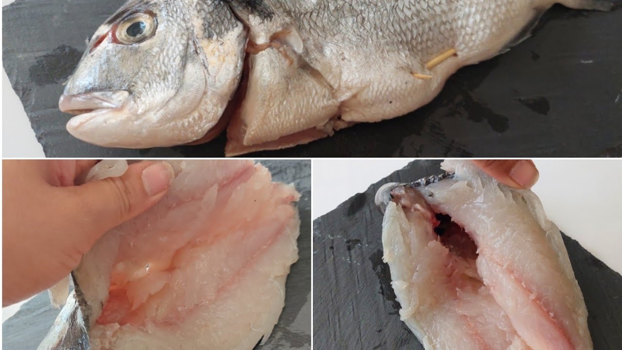 كيف نحضر سمك الدوراد للحشو