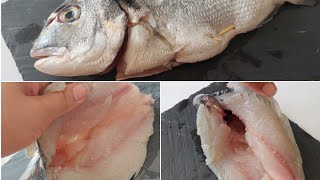 كيف نحضر سمك الدوراد للحشو