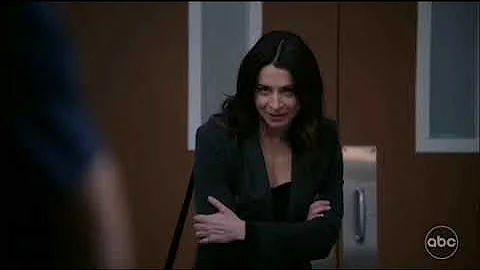 Amelia and Lucas | Grey's anatomy season 19x06 | s...