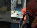 #dangerous #electricalindia #powerplant #virelshorts #highlights
