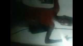 Dancinha Maluca Magrinho Dançando Funk