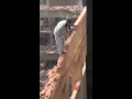 ايه الى انا شايفه ده