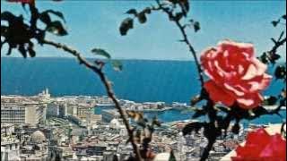 العيون السود - ورده الجزائرية