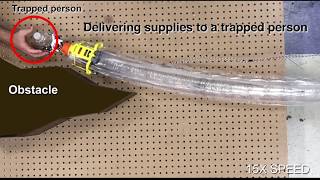 A Tip Mount for Transporting Sensors and Tools using Soft Growing Robots