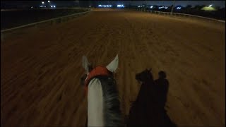 Gallop a horse at night تشغيل الخيل في رمضان