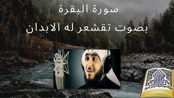 سورة البقرة بصوت مبكي - سورة البقرة - تلاوة جميلة جدا بصوت هادئ وخاشع