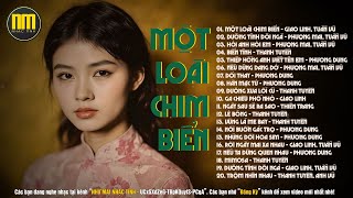 Như Mai Nhạc Tình