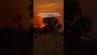 Yaşımdan Çok Erken Çöktüğümün Farkındayım Ama Zaten Insanı Yaşı Değil, Hayatı Yaşlandırıyor. Resimi