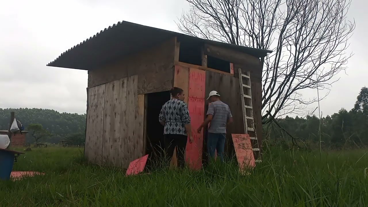 vida na roça😃mais um dia no recanto.🙌