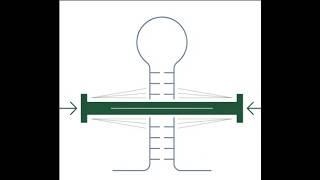 Famous Cleaning Up the MicroRNA Map: Introducing miRScore for Rapid and Precise miRNA Validation Net Worth