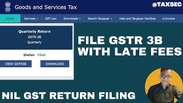How to Fill GSTR 3B Nil Return in Hindi | GSTR 3B Nil Return Filing in Hindi | GSTR 3B Kaise Bhare.