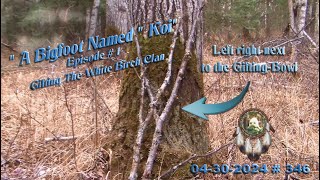 A BIGFOOT NAMED KOI. EPISODE #1, GIFTING THE WHITE BIRCH BIGFOOT CLAN. Please Read Below