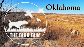 Oklahoma Quail Hunting & Truck CampingDecember 2022