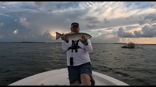 Pulling redfish and snook off oyster bars in Pine Island Sound