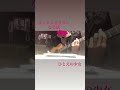 コンテンポラリーな生活/ひとえの少女
