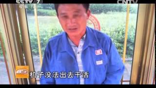 20140609 聚焦三农 麦收夫妻档