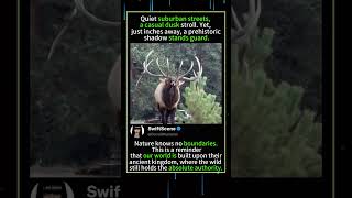 Savage &amp; Beautiful Nature