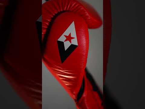 Revgear F1 Competitor Lace-Up Boxing Gloves — Video 3