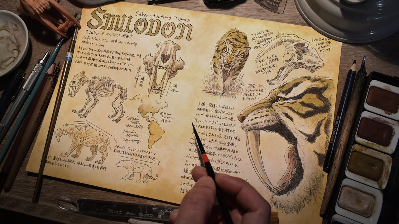 Illustration book] Animal edition 