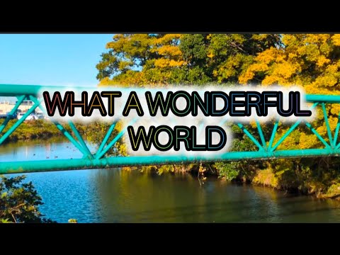 WONDERFUL WORLD. THE TRESS, RIVER, BIRDS AND AIR