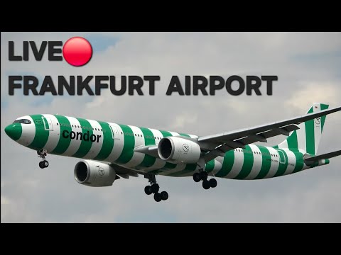 LIVE🔴 Frankfurt Airport | sunday Planespotting | Runway 25R | DE2081 aus LAX
