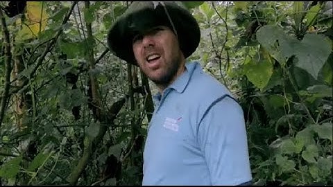 An Idiot Abroad Season 2 Episode 5 - Meet a Gorilla (1080p-BluRay) (Tricks Tapes)