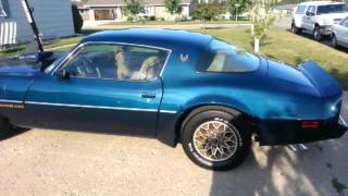 1979 trans am nocturne blue for sale