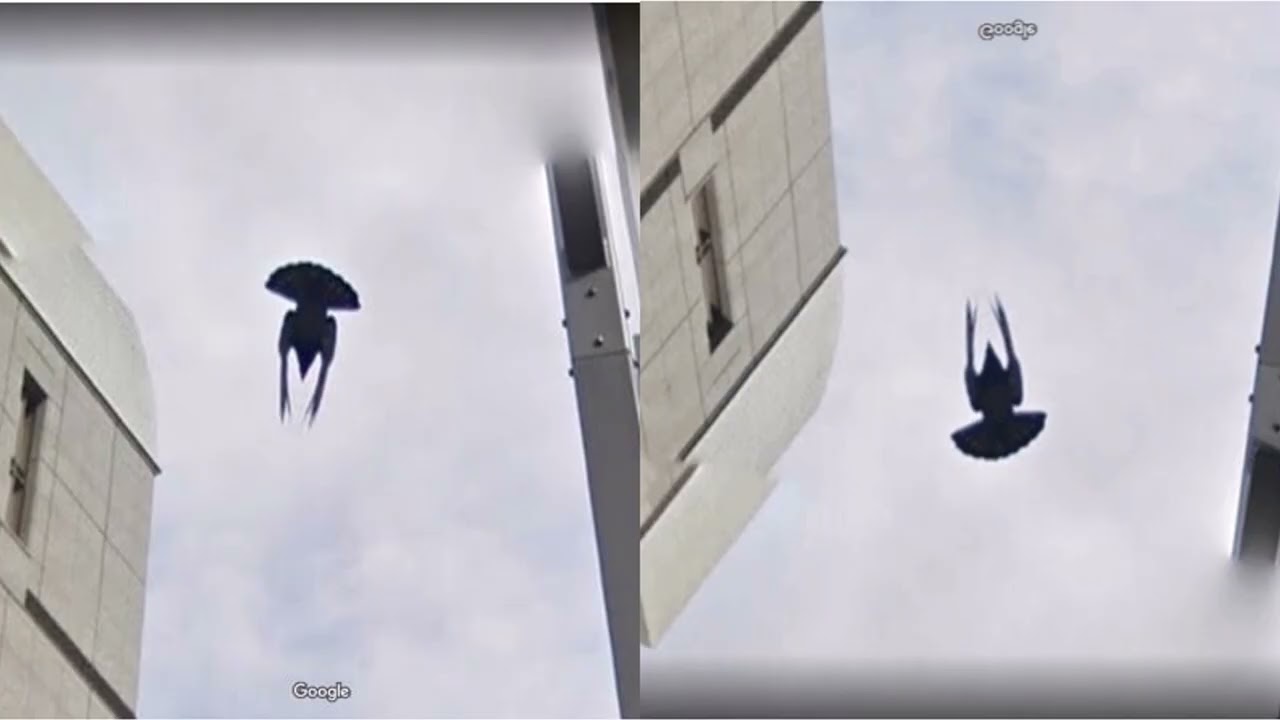 【🔥爆笑】ストリートビューに映り込んだ画像がヤバかった！ガルちゃんまとめ/2ch