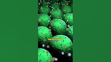 Bí Quyết Giữ Gìn Sức Kh.ỏe Toàn Diện #nhathuocdaiminh #dsdaiminh #duocsidaiminh