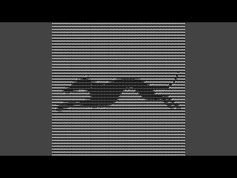 Greyhound