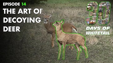 The ART of DECOYING DEER- 30 D.O.W EP14- How to fool bucks with a decoy