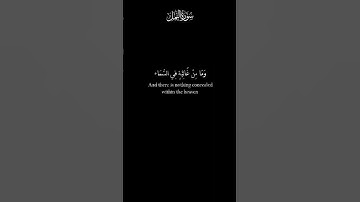 وإن ربك ليعلم ما تكن صدورهم وما يعلنون | الشيخ سعد الغامدي | كرومات | قرآن شاشه سوداء | سورة النمل