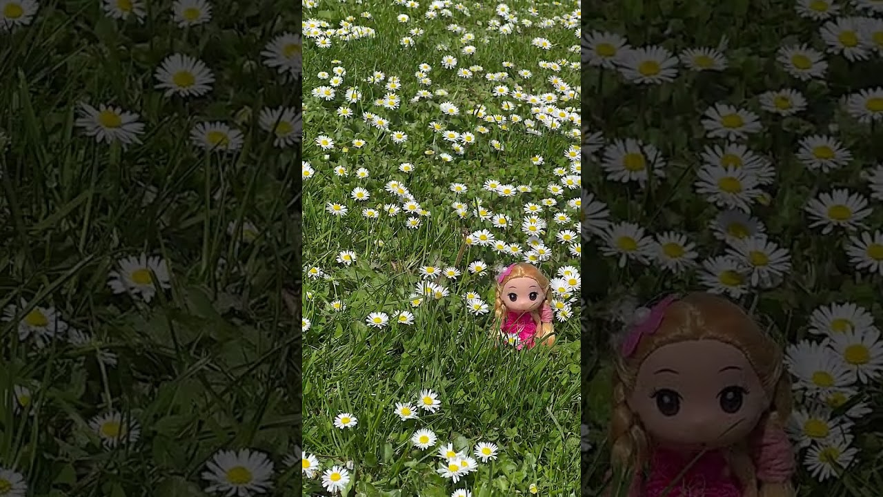 Port Sunlight /Merseyside / May 2023