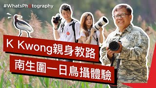 #WhatsPhotography - K Kwong 鳥攝速成班