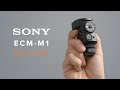 Sony ECM-M1 Shotgun Microphone Review!