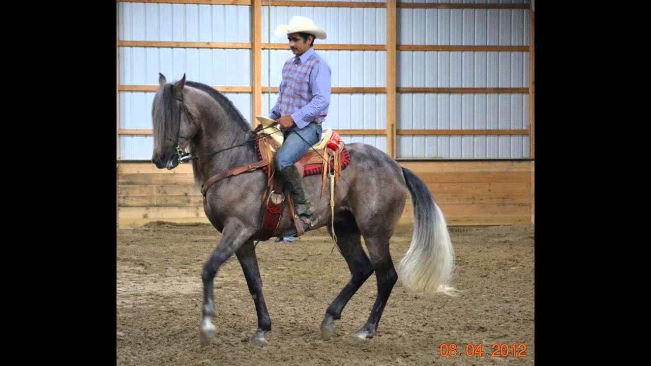 Rancho La Curva