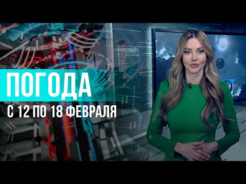 Погода на неделю 12-18 февраля 2024. Прогноз погоды. Беларусь | Метеогид