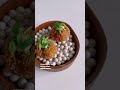 what I served at a 5 course dinner party