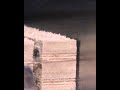object_videos