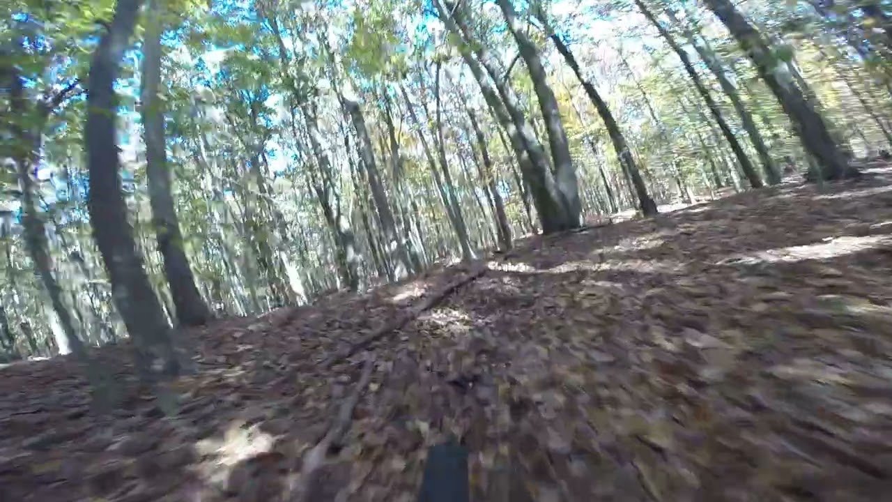 Kingdom Trail Staten Island