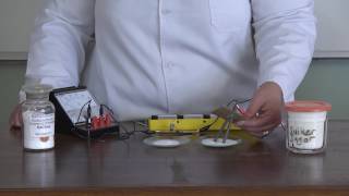 Graad 10 Chemie Eksperiment 10 Geleidingsvermoë Van Suiwer Stowwe En Oplossings