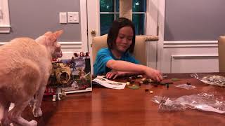 Unboxing LEGO Star Wars Yoda’s Hut (75208)