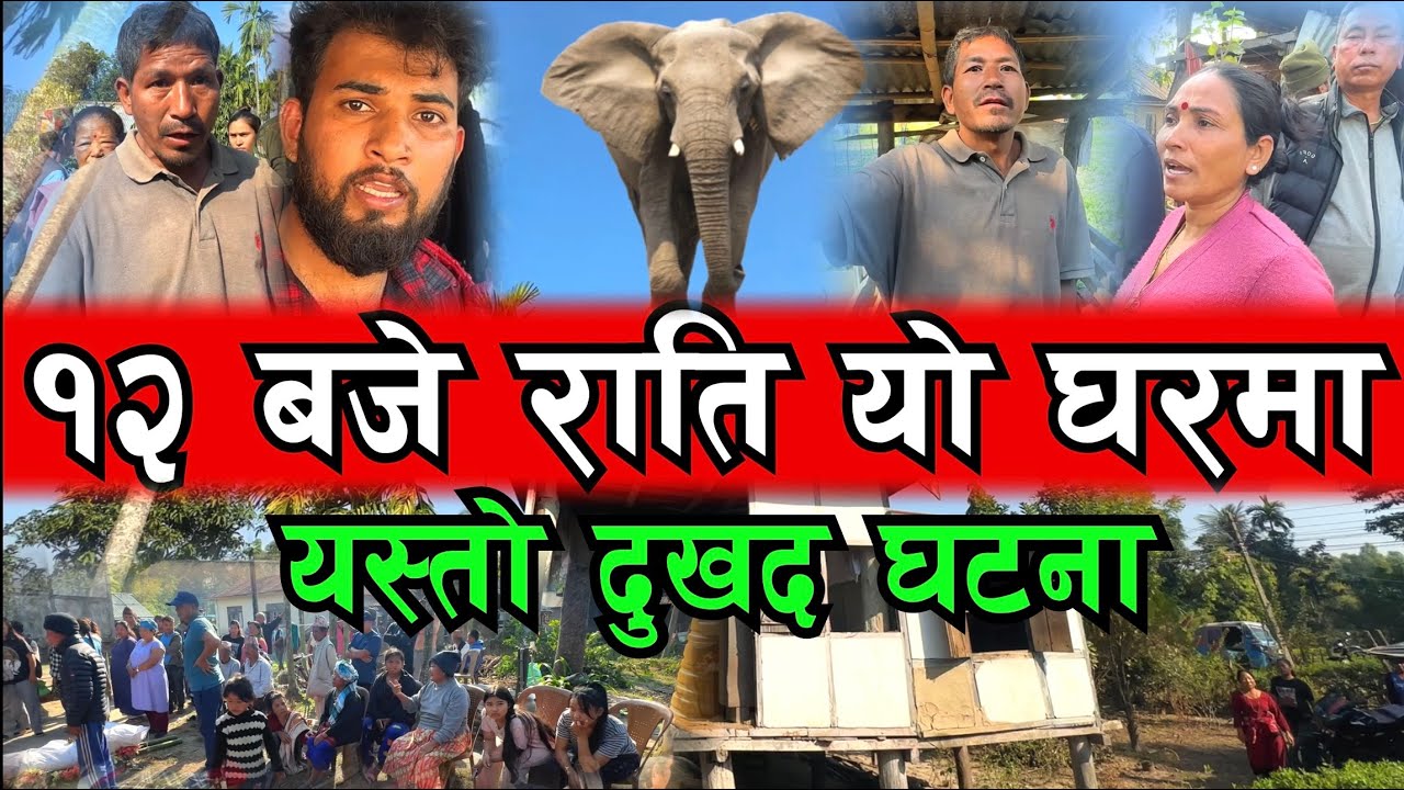 हिजो राति  १२ बजे झापामा हेर्नुहोस घरमा हात्ती आएर यस्तो दुखद खबर Bhagya Neupane New Video